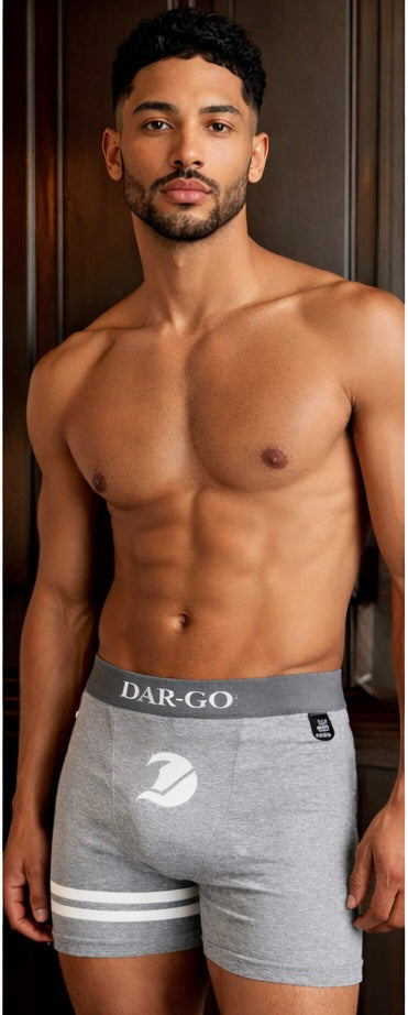 ⚙️ DAR-GO® Signature Two-Stripe Boxer Briefs Sterling Gray
